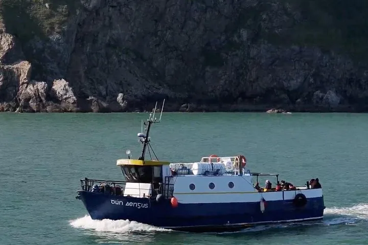 Small blue and white passenger boat sailing near rocky cliffs
