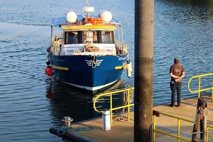 Small blue boat approaching a pier with a person waiting to tie it