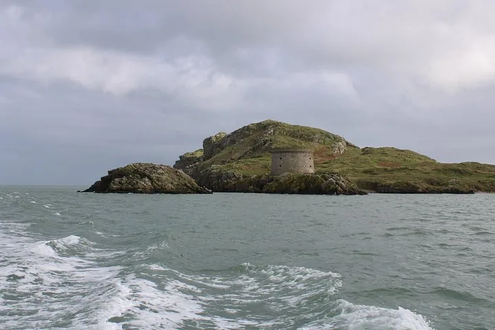 View of an island with a Martello tower from the sea
